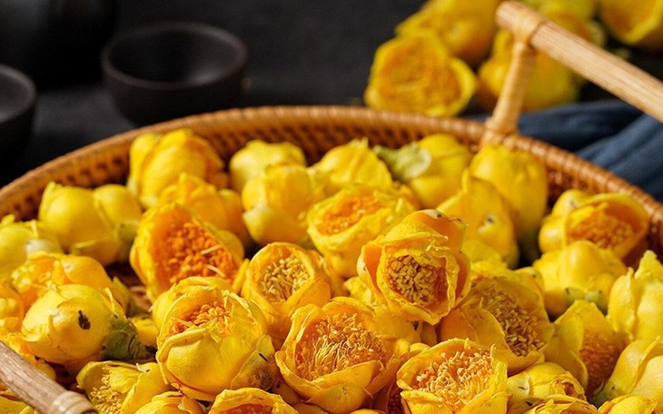 Trà hoa vàng – nữ hoàng của các loại trà và công dụng không phải ai cũng biết