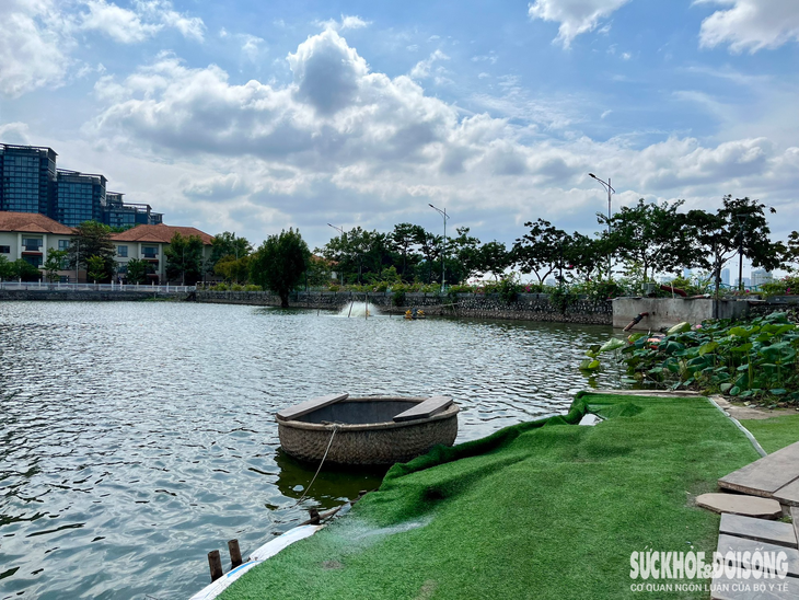 Cận cảnh khu nuôi cá Koi ở hồ Đầm Đông vừa bị 'tuýt còi' - Ảnh 2.