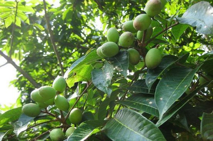 photo-1698651942705
