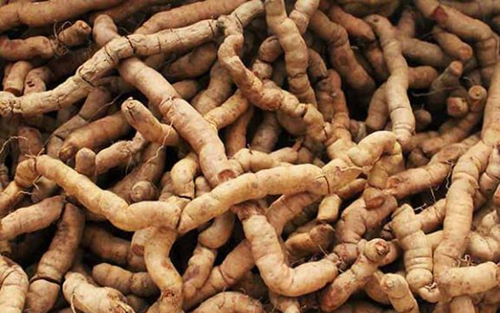 12 món ăn bài thuốc từ ba kích bổ thận tráng dương