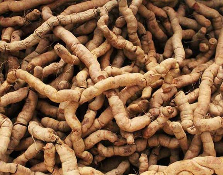 12 món ăn bài thuốc bổ thận tráng dương có ba kích - Ảnh 1.