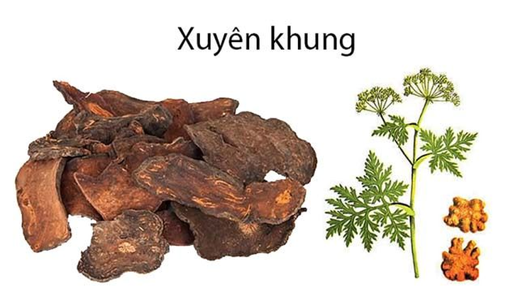 12 bài thuốc chữa bệnh có bạch chỉ - Ảnh 5.