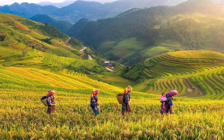 Chương trình MTQG 1719 ở Yên Bái có nhiều chuyển biến tích cực