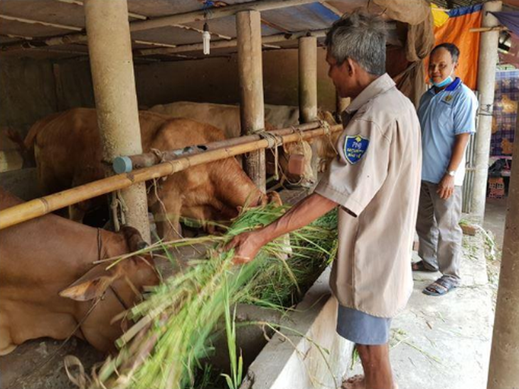 Chương trình MTQG 1719 nâng cao đời sống đồng bào dân tộc Khmer ở Vĩnh Long- Ảnh 3.
