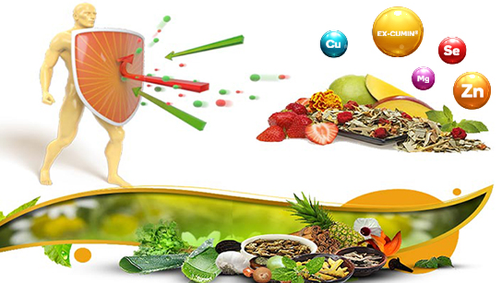 Thực phẩm giàu kẽm tốt cho người ăn chay - Ảnh 2.