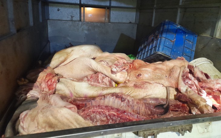 Hơn 1,3 tấn thịt lợn bốc mùi ôi thiu, có dấu hiệu phân hủy được lén lút vận chuyển đi tiêu thụ