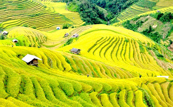 Chương trình MTQG 1719 ở Yên Bái có nhiều chuyển biến tích cực- Ảnh 3. Chương trình MTQG 1719 ở Yên Bái có nhiều chuyển biến tích cực- Ảnh 3.