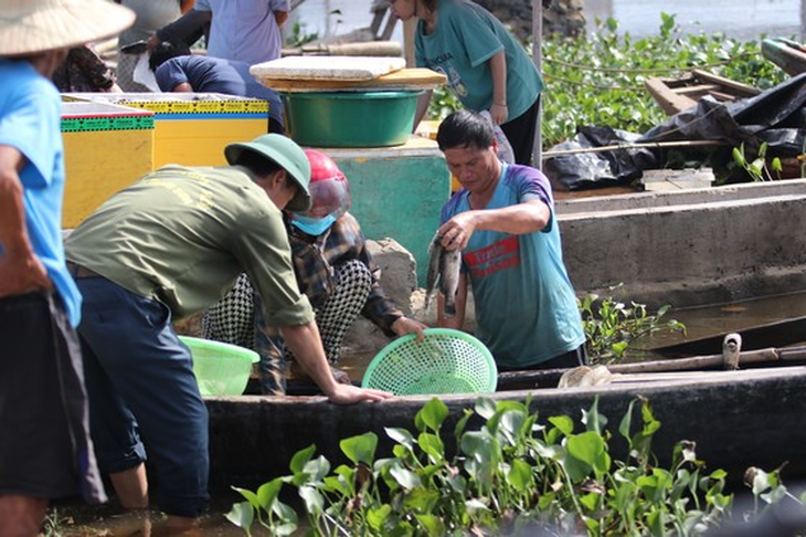 Người dân khóc ròng khi nhìn hàng chục tấn cá nuôi lồng bè bị chết trắng - Ảnh 4.