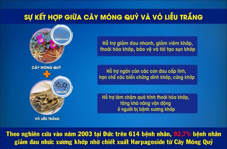 Giải pháp hỗ trợ làm chậm quá trình lão hóa xương khớp - Ảnh 1.