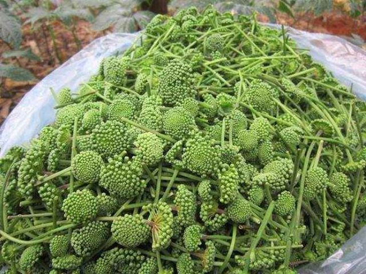 5 món ăn bài thuốc cải thiện chứng mất ngủ hiệu quả - Ảnh 5.