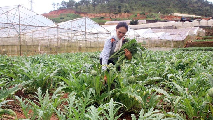 Phấn đấu đến năm 2030 Việt Nam tự chủ được thuốc phục vụ cho nhu cầu phòng bệnh, chữa bệnh - Ảnh 2. Phấn đấu đến năm 2030 Việt Nam tự chủ được thuốc phục vụ cho nhu cầu phòng bệnh, chữa bệnh - Ảnh 2.