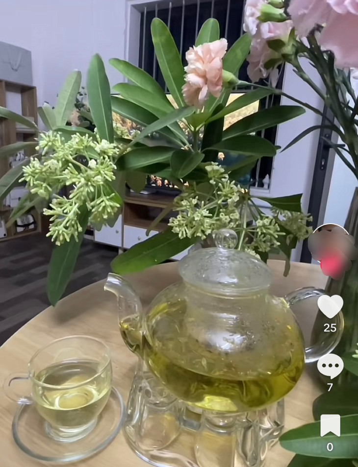 Nở rộ "trend" cắm hoa sữa tại nhà, người yêu kẻ ghét - Ảnh 3.
