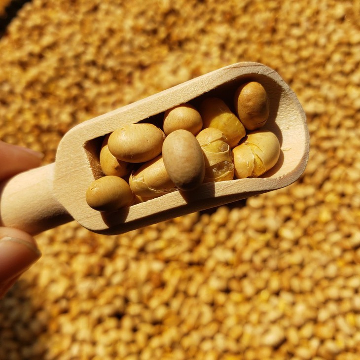 Những món ăn tốt cho sức khỏe hệ tiêu hoá - Ảnh 2.