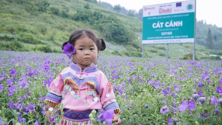 Nam Dược "Nâng ước mơ xanh" và 15 năm bền bỉ trao gửi yêu thương - Ảnh 3.
