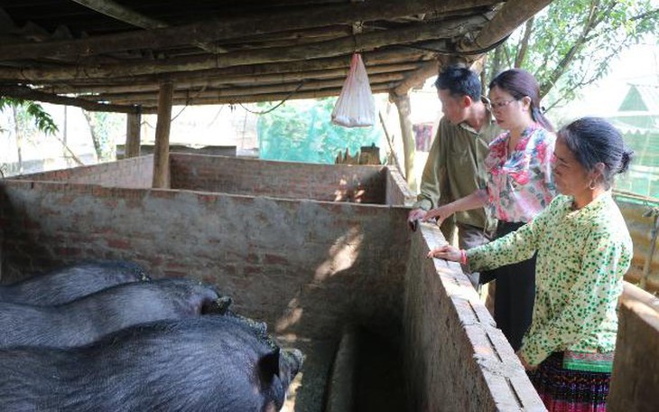 Yên Bái tích cực truyền thông sâu rộng về Chương trình MTQG 1719 đến người dân