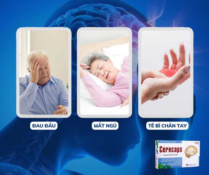 Giải pháp điều trị suy giảm trí nhớ do thiểu năng tuần hoàn não- Ảnh 1.