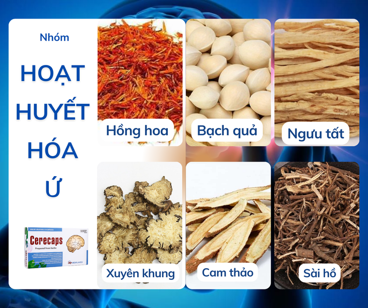 Giải pháp điều trị suy giảm trí nhớ do thiểu năng tuần hoàn não- Ảnh 2.