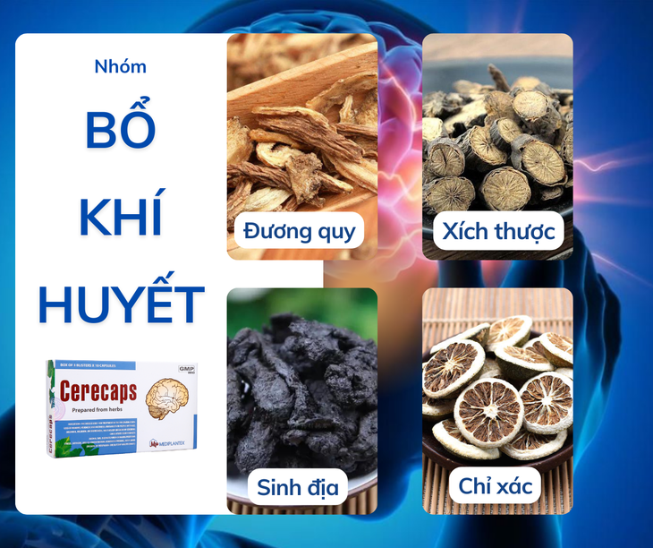 Giải pháp điều trị suy giảm trí nhớ do thiểu năng tuần hoàn não- Ảnh 3.