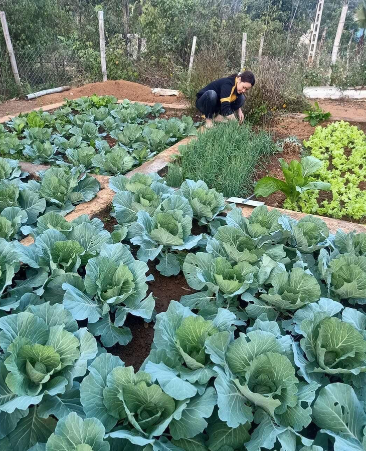 Góp phần giảm tỷ lệ suy dinh dưỡng thấp còi cho trẻ mầm non miền núi- Ảnh 5. Góp phần giảm tỷ lệ suy dinh dưỡng thấp còi cho trẻ mầm non miền núi- Ảnh 5.
