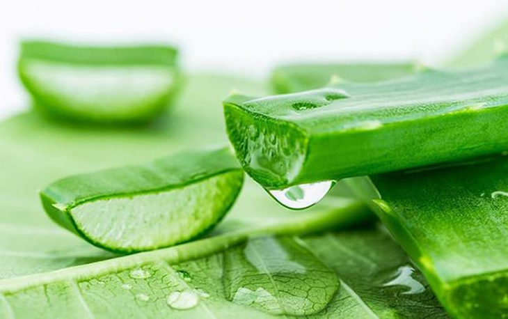 9 vị thuốc hỗ trợ kiểm soát đường huyết- Ảnh 2.