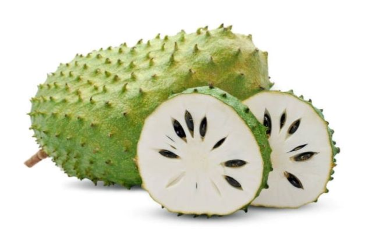 9 vị thuốc hỗ trợ kiểm soát đường huyết- Ảnh 3.