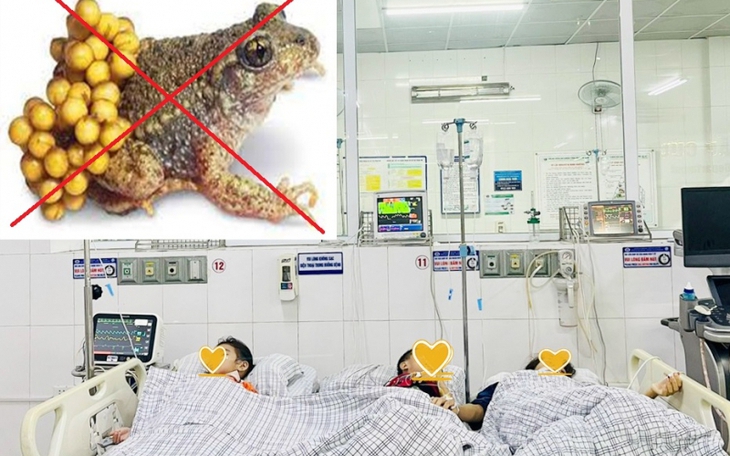 Mất mạng, nhập viện cấp cứu do ăn thịt cóc, vì sao?