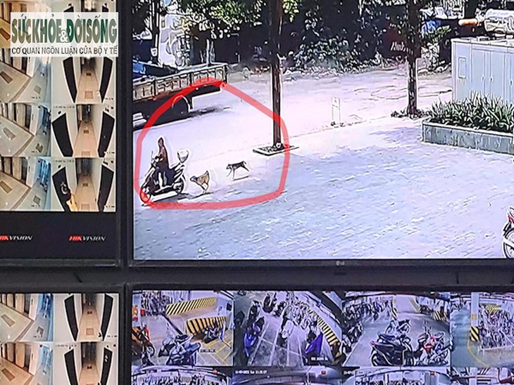 Chó thả rông đuổi cư dân tại chung cư Tecco skyvile Hà Nội- Ảnh 1.
