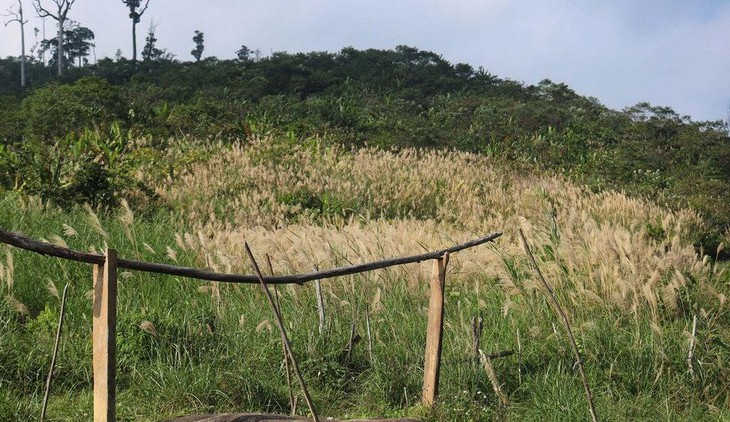 Nâng cao đời sống đồng bào dân tộc trên địa bàn biên giới bằng phát triển du lịch- Ảnh 3.