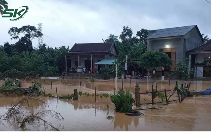Xót xa trước cảnh nước lũ cuốn trôi đàn bò 50 con của một hộ gia đình ở Quảng Trị 