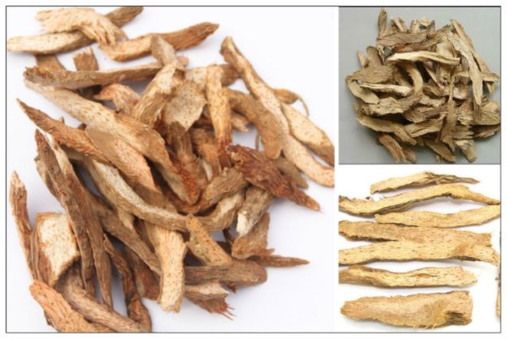 5 bài thuốc chữa bệnh từ sâm cau- Ảnh 2.