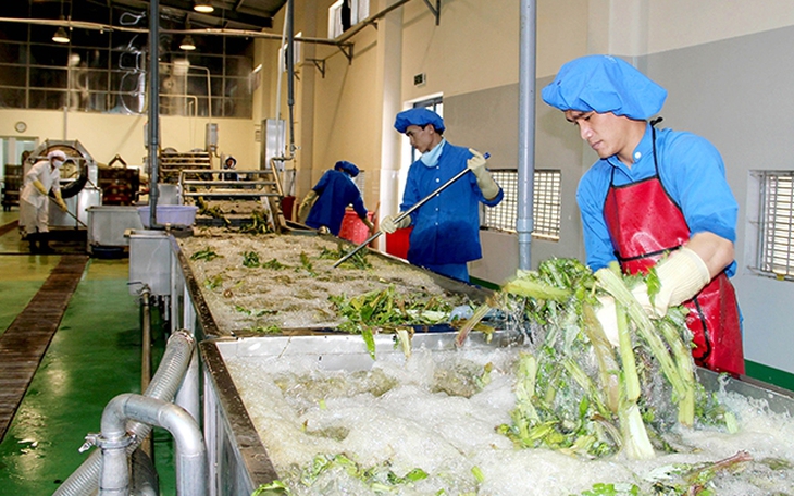 Công nghiệp chế biến dược liệu có vai trò quan trọng để bảo toàn các hoạt chất- Ảnh 2. Công nghiệp chế biến dược liệu có vai trò quan trọng để bảo toàn các hoạt chất- Ảnh 2.