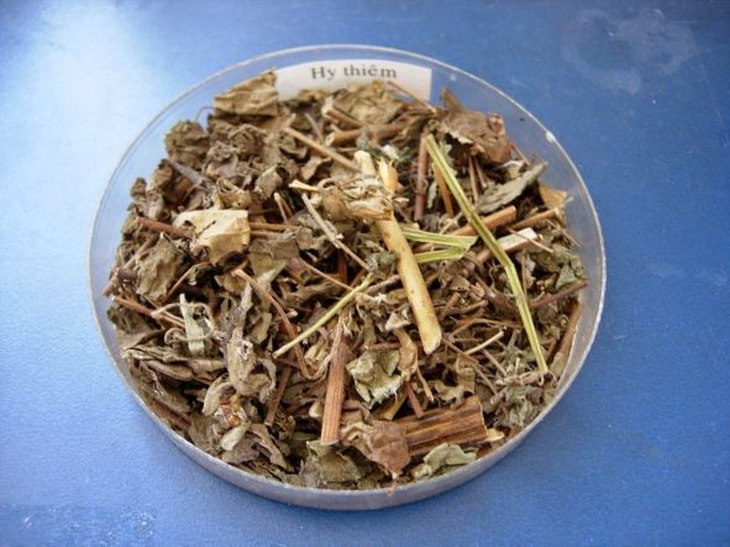 7 bài thuốc chữa phong tê thấp có hy thiêm- Ảnh 2.