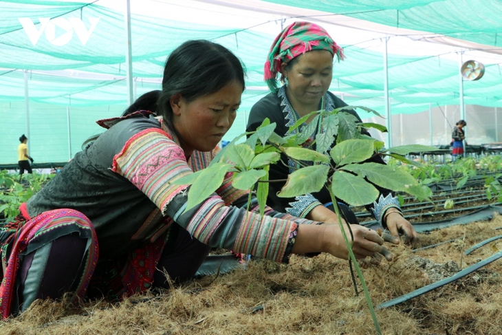 Đầu tư vào nghiên cứu khoa học để chủ động trong khám, chữa bệnh bằng y học cổ truyền- Ảnh 1. Đầu tư vào nghiên cứu khoa học để chủ động trong khám, chữa bệnh bằng y học cổ truyền- Ảnh 1.