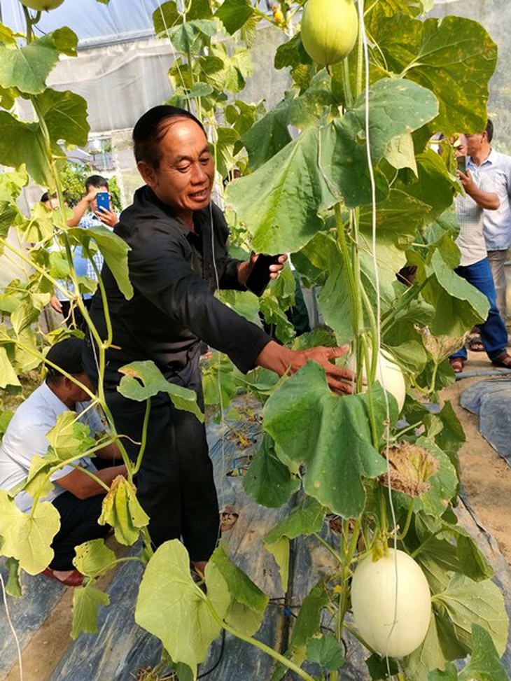 Điện Biên tăng cường trao đổi kinh nghiệm thực hiện Chương trình MTQG 1719- Ảnh 2. Điện Biên tăng cường trao đổi kinh nghiệm thực hiện Chương trình MTQG 1719- Ảnh 2.