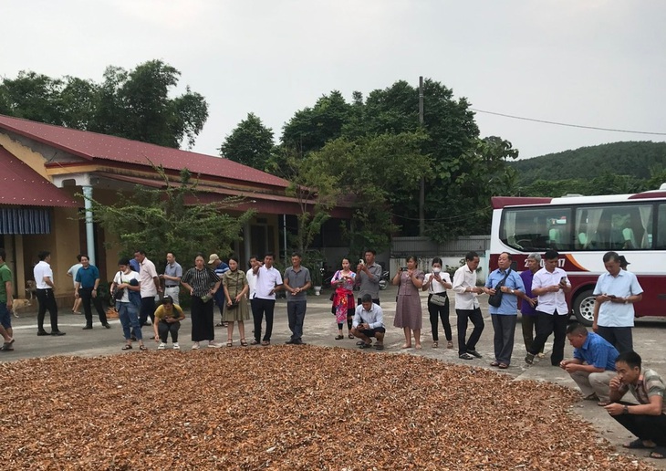 Điện Biên tăng cường trao đổi kinh nghiệm thực hiện Chương trình MTQG 1719- Ảnh 1. Điện Biên tăng cường trao đổi kinh nghiệm thực hiện Chương trình MTQG 1719- Ảnh 1.