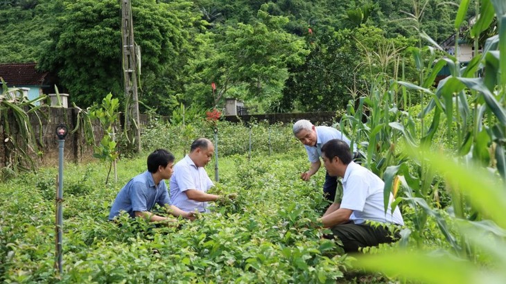Áp dụng tiêu chuẩn GACP giúp dược liệu có dược tính cao, chất lượng tốt hơn- Ảnh 2.