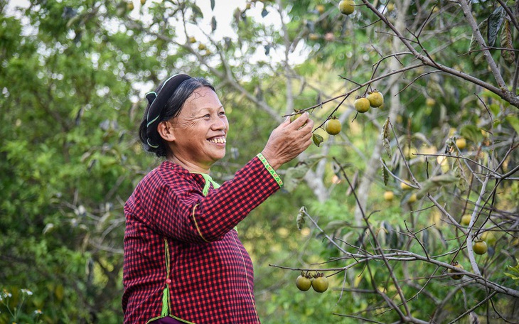 Chia sẻ kinh nghiệm quản lý, tổ chức triển khai thực hiện Chương trình MTQG 1719