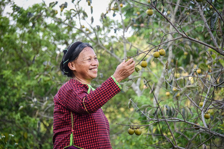 Chia sẻ kinh nghiệm quản lý, tổ chức triển khai thực hiện Chương trình MTQG 1719- Ảnh 2. Chia sẻ kinh nghiệm quản lý, tổ chức triển khai thực hiện Chương trình MTQG 1719- Ảnh 2.