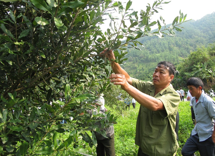 Chia sẻ kinh nghiệm quản lý, tổ chức triển khai thực hiện Chương trình MTQG 1719- Ảnh 1. Chia sẻ kinh nghiệm quản lý, tổ chức triển khai thực hiện Chương trình MTQG 1719- Ảnh 1.