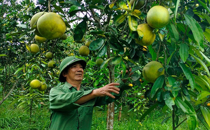 Phát huy vai trò của người có uy tín trong phát triển vùng đồng bào dân tộc thiểu số- Ảnh 1.