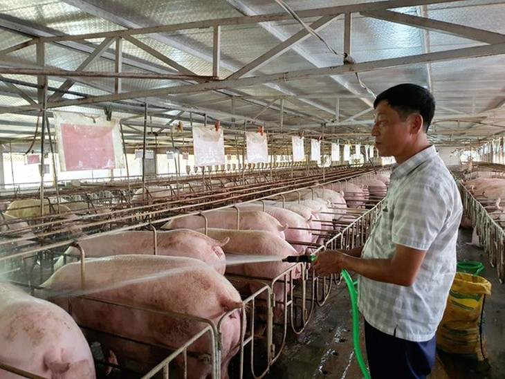 Xuất siêu nông, lâm, thủy sản trong 10 tháng đạt 9,3 tỷ USD - Ảnh 3.