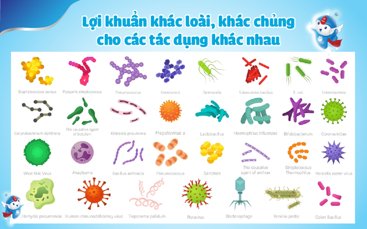Ưu điểm của men vi sinh được phân lập đến chủng- Ảnh 2.