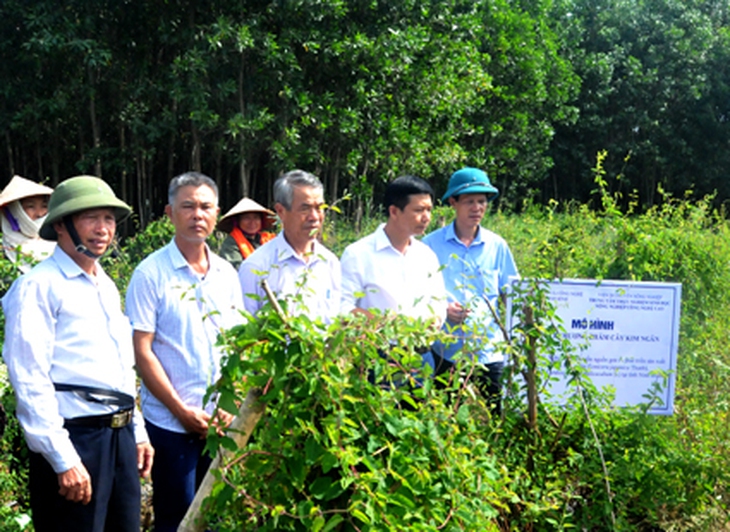 Bảo tồn, nhân giống cây dược liệu quý ở Ninh Bình- Ảnh 1.