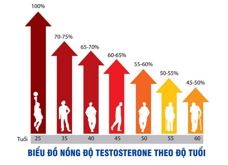 Rối loạn cương dương tuổi trung niên: Nguyên nhân và giải pháp- Ảnh 2. Rối loạn cương dương tuổi trung niên: Nguyên nhân và giải pháp- Ảnh 2.