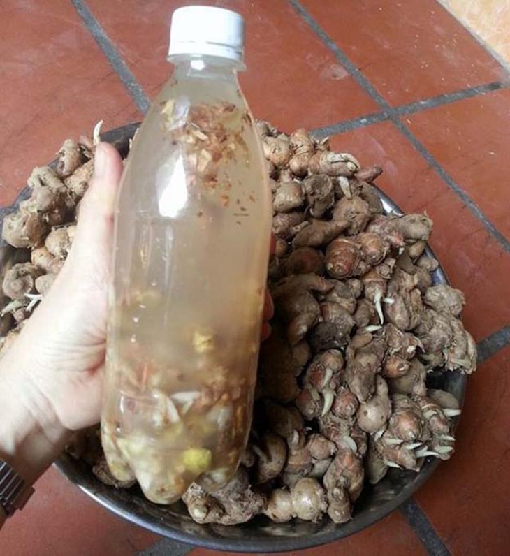 photo-1700547077737