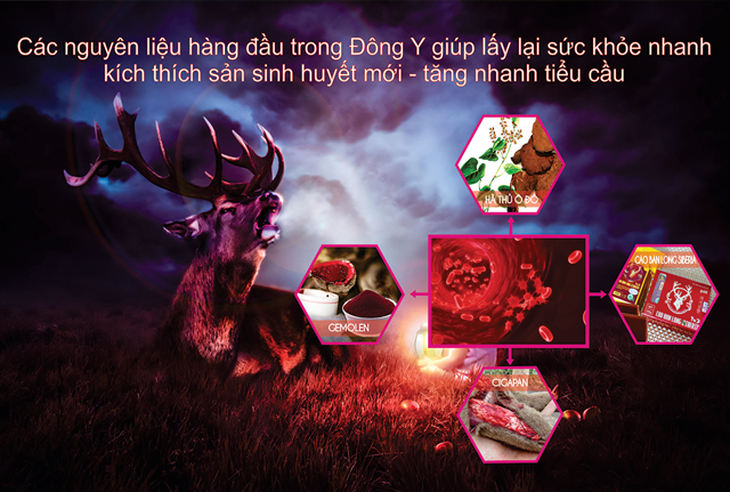Giảm tiểu cầu, rụng tóc khi bị sốt xuất huyết nên bổ sung gì?- Ảnh 2.