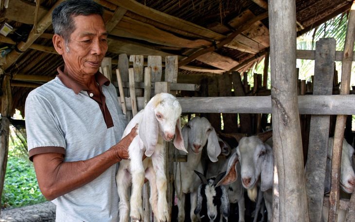 Nâng cao đời sống bà con vùng đồng bào dân tộc Khmer ở Cà Mau nhờ Chương trình MTQG 1719