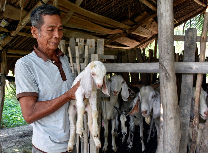 Nâng cao đời sống bà con vùng đồng bào dân tộc Khmer ở Cà Mau nhờ Chương trình MTQG 1719- Ảnh 3. Nâng cao đời sống bà con vùng đồng bào dân tộc Khmer ở Cà Mau nhờ Chương trình MTQG 1719- Ảnh 3.