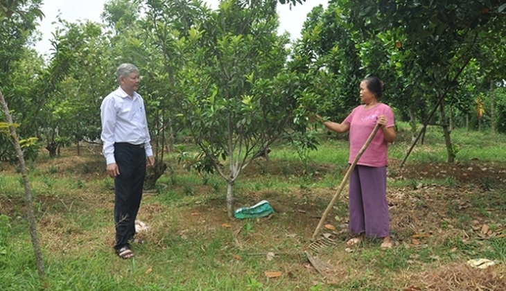Những kết quả nổi bật thực hiện Chương trình MTQG 1719 ở Thạch Thành- Ảnh 1. Những kết quả nổi bật thực hiện Chương trình MTQG 1719 ở Thạch Thành- Ảnh 1.
