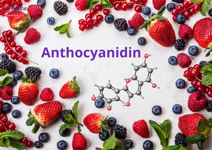 Các thực phẩm có sắc tố đỏ, tím và xanh đậm thúc đẩy sản sinh collagen như thế nào?- Ảnh 2.